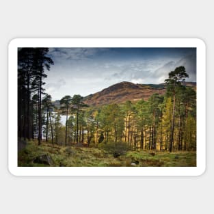 Glentrool Photograph Dumfries and Galloway Sticker